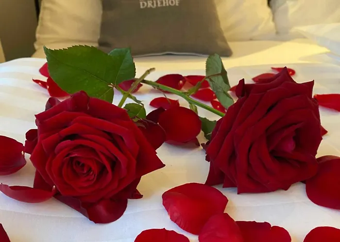 Szálloda Driehof Lifestyle Comfort 3 Tecklenburg